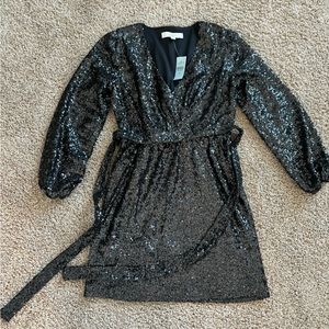 Petite Loft Sequin Dress
